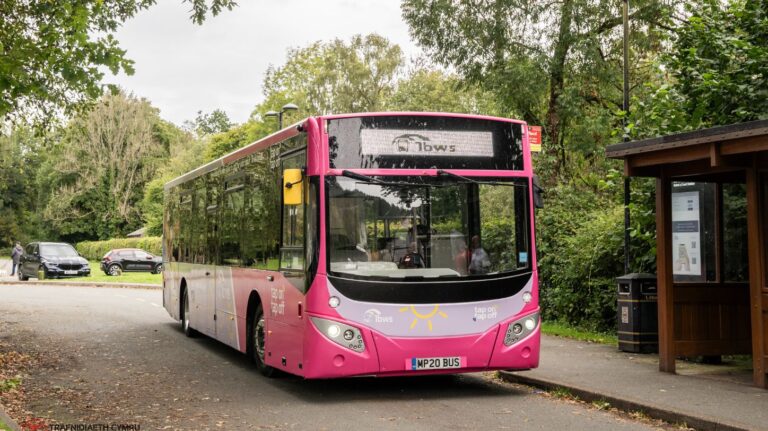 pink bus wales
